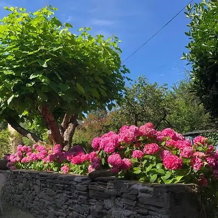 Lägenhet T2 Sur Jardin, Au Coeur De Luchon *